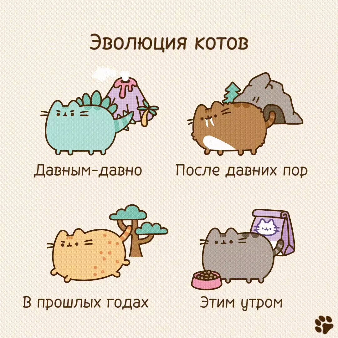 Читать 1 том 191 главу манги Пушин кэт / Pusheen the cat [Страница 1]